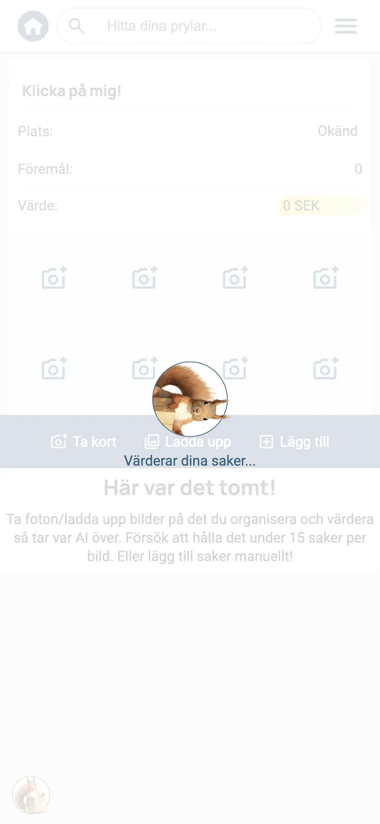 Fota saker 3