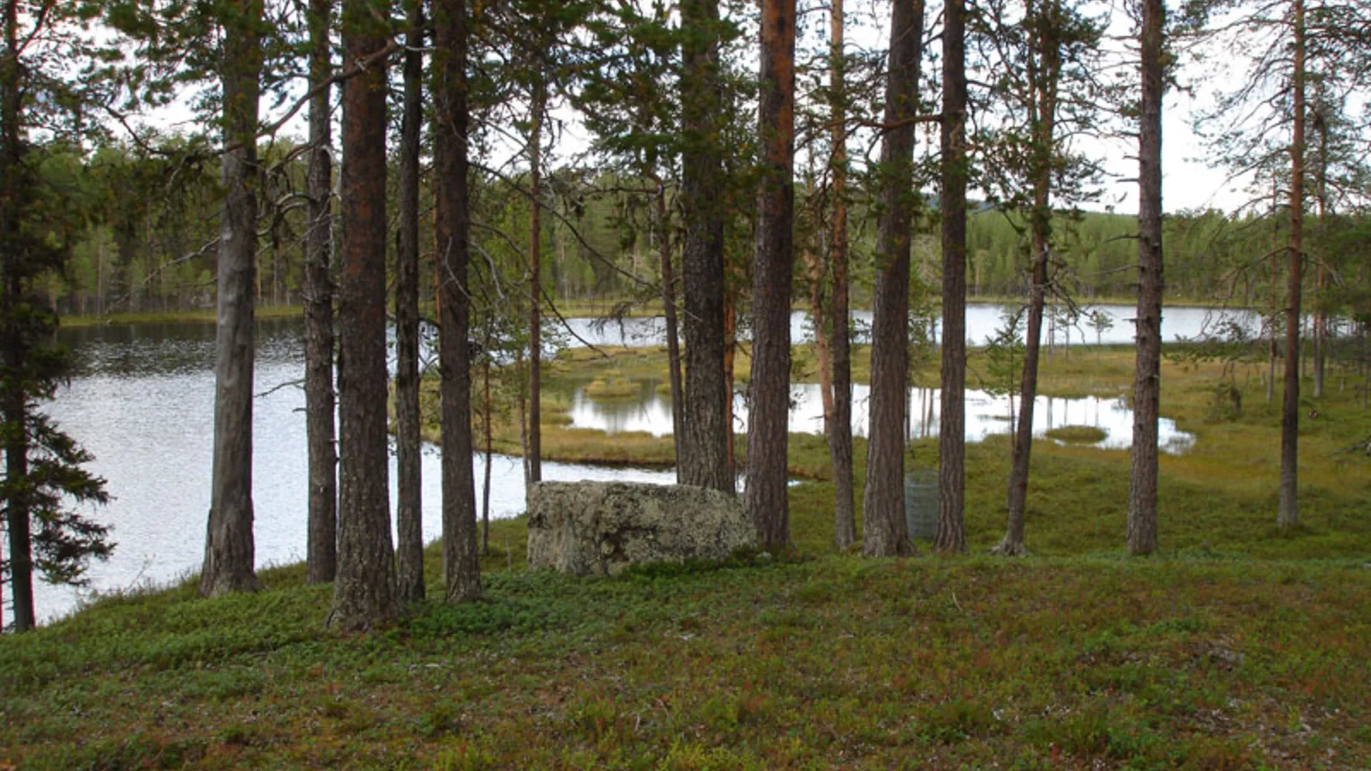 Malå – hero image